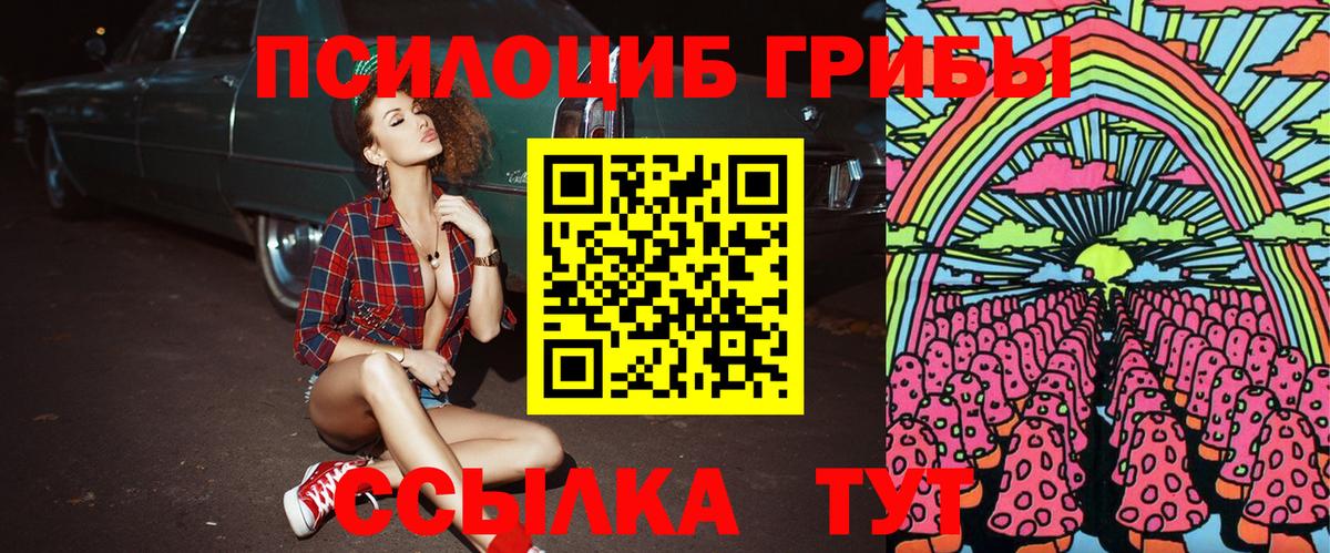 Галлюциногенные грибы прущие грибы Лянтор