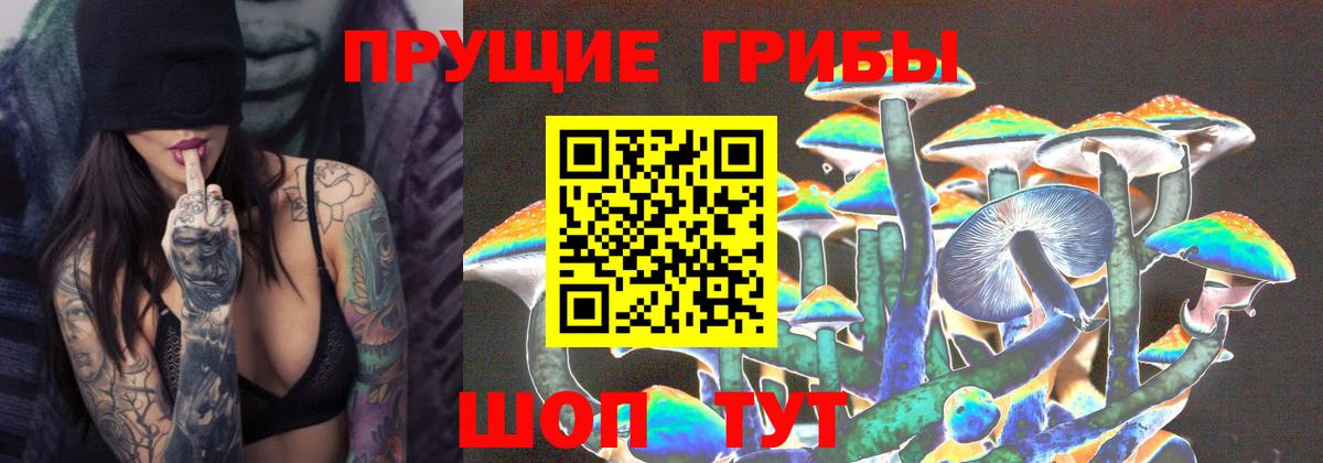 Галлюциногенные грибы мицелий  Вход с VPN  Лянтор 